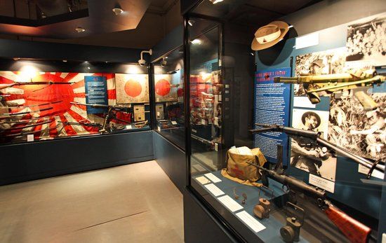 Defence of Darwin Experience